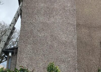 house with grey rough casting and green plants